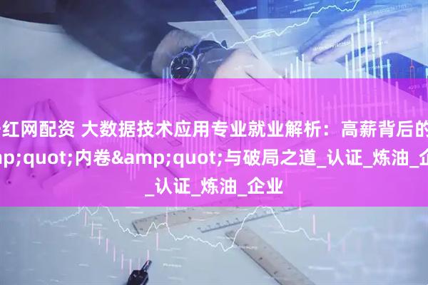 千红网配资 大数据技术应用专业就业解析：高薪背后的&quot;内卷&quot;与破局之道_认证_炼油_企业