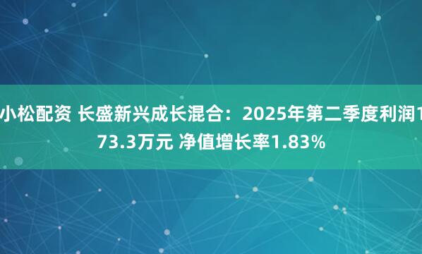 小松配资 长盛新兴成长混合：2025年第二季度利润173.3万元 净值增长率1.83%