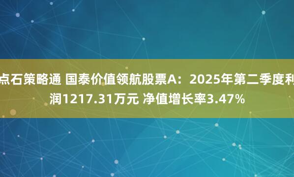 点石策略通 国泰价值领航股票A：2025年第二季度利润1217.31万元 净值增长率3.47%