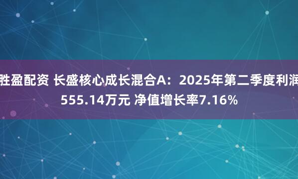 胜盈配资 长盛核心成长混合A：2025年第二季度利润555.14万元 净值增长率7.16%
