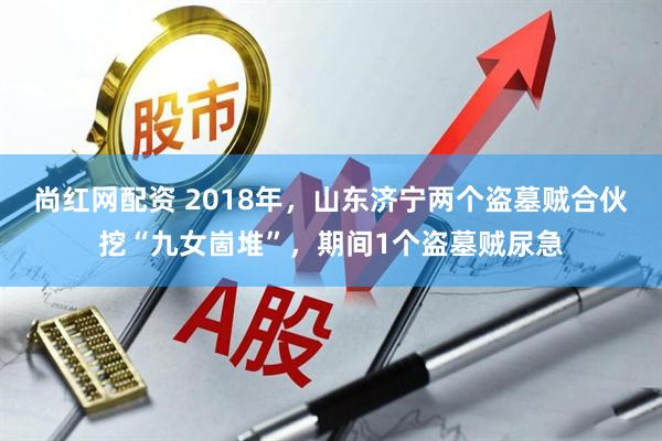 尚红网配资 2018年，山东济宁两个盗墓贼合伙挖“九女崮堆”，期间1个盗墓贼尿急